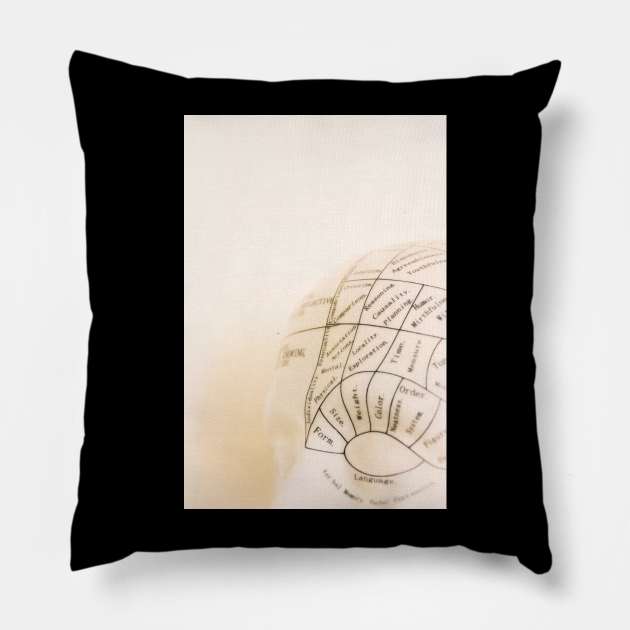 Reasoning - The Phrenology Series Pillow by Debra Cox 