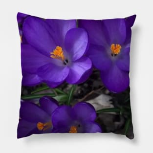 flower Pillow