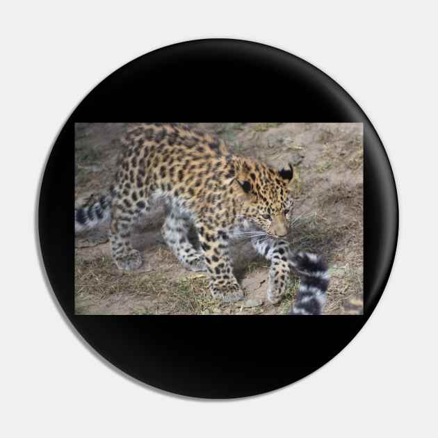 Leopard Cub Pin by MarieDarcy