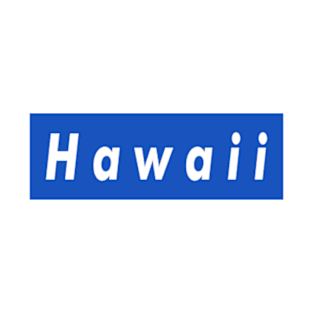 Hawaii Box Logo T-Shirt