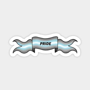 demiboy pride banner Magnet