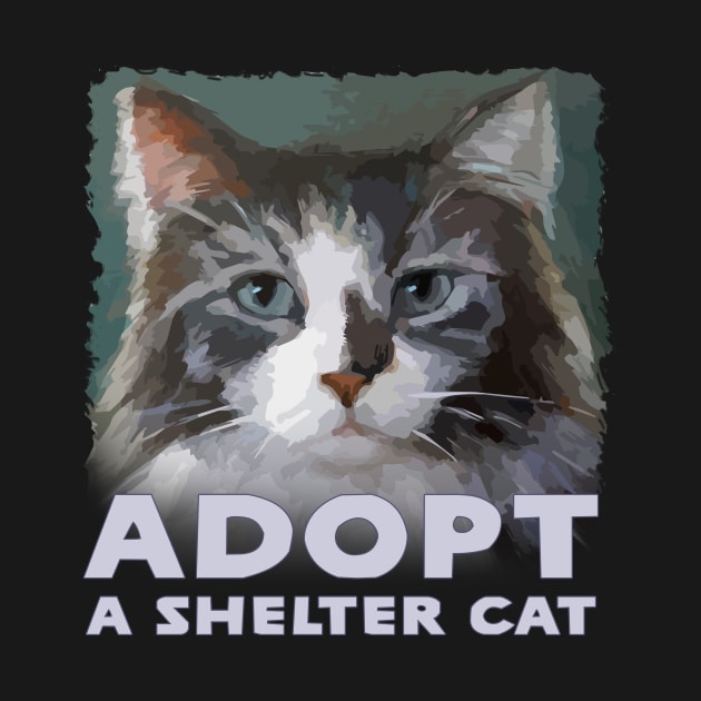 Adopt a Shelter Cat - with Cute Maine Coon Kitty - Rescue Pet by jdunster