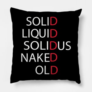 SOLID LIQUID.... Pillow