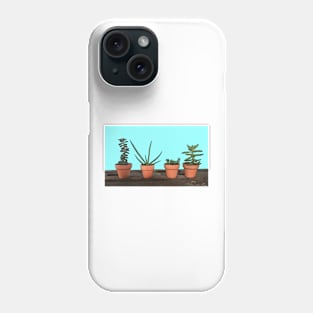 Succulents in Terra Cotta Phone Case