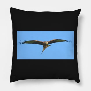 Northamptonshire Red Kite Bird of Prey Pillow