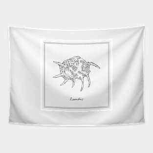 Lambis or Spider Conch. Retro style illustration. Tapestry