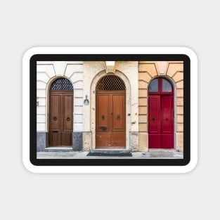 Three vintage doors Magnet