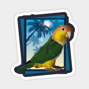 Caique Magnet