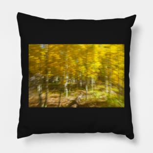 Fall Abstract I Pillow