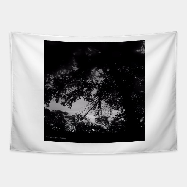 Texas Fall Sunset - Black and White Tapestry by davidbstudios