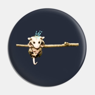 possum king Pin