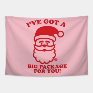 SANTA BIG PACKAGE Tapestry