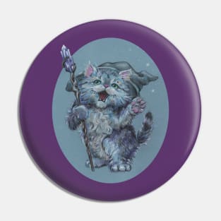 Wizard Kitty (probably casting catnip spells) Pin