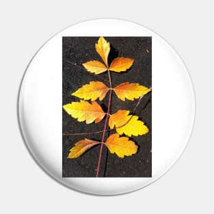 Forest Bathing with the Warmth of Autumn Leaves Pin