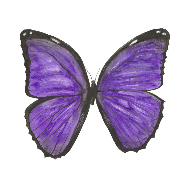 Butterfly Violet Butterfly Kids T Shirt Teepublic