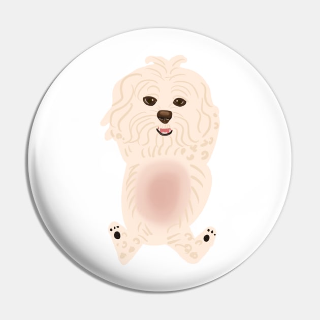 Maltipoo asking for belly rub Pin by PatternbyNOK