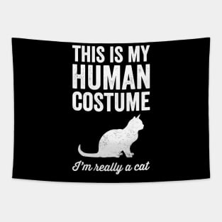 This is my human costume I'm really a cat Tapestry