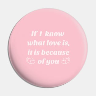 If I know what love is,it is because of you Pin