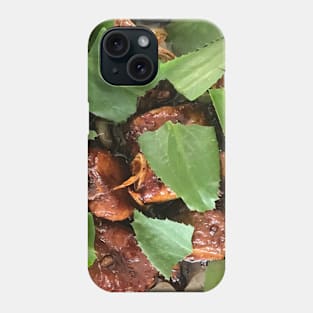 Honey ribs with fresh culantro herb on top Phone Case