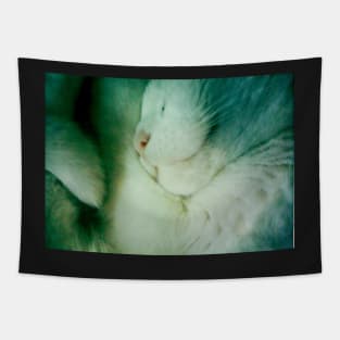 Snuggled Sleeping White Furball of Cat Tapestry