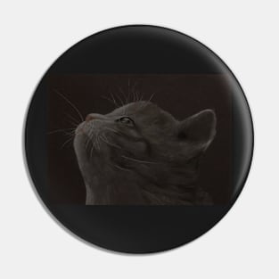 Kitten 2 Pin