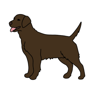 Chocolate Labrador T-Shirt