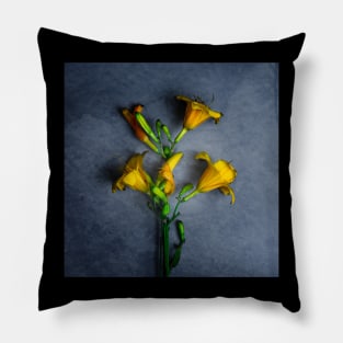 Beautiful Plant Pillow