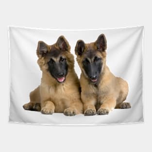 2 dogs Tapestry