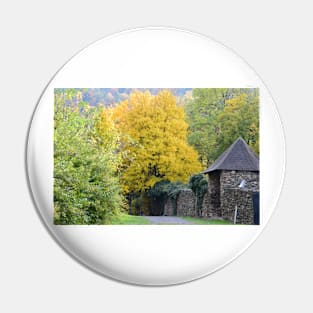 A castle in autumn Pin