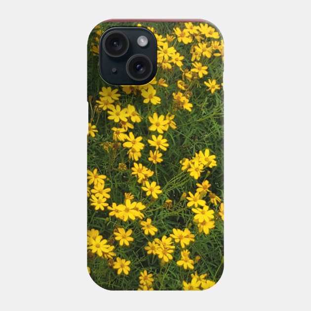 Yellow Green Bloom Photography My Phone Case by ShubShank