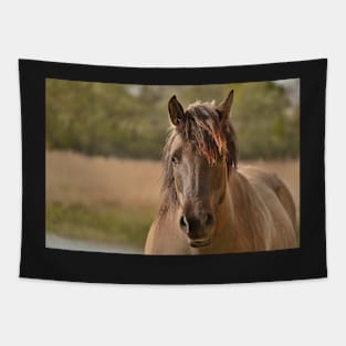 Portrait of a Konik horse Tapestry