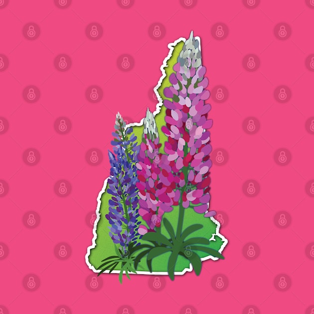 New Hampshire Lupines by Ski Classic NH