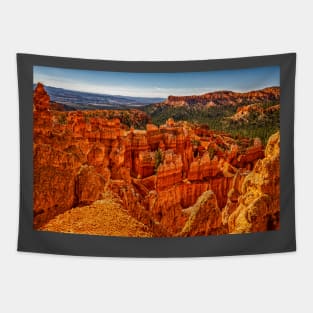 Bryce Canyon National Park Tapestry