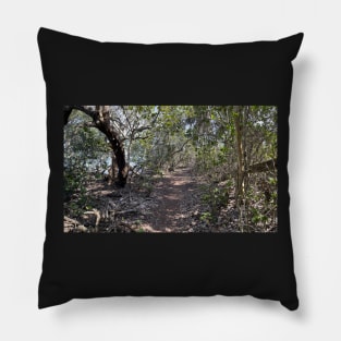 Hiking Florida at Robinson Preserve Pillow