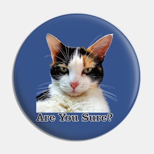 Cute Calico Cat with Attitude – Are You Sure! Pin