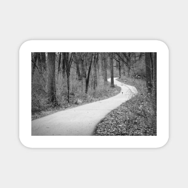 The Unknown Path Magnet by bgaynor