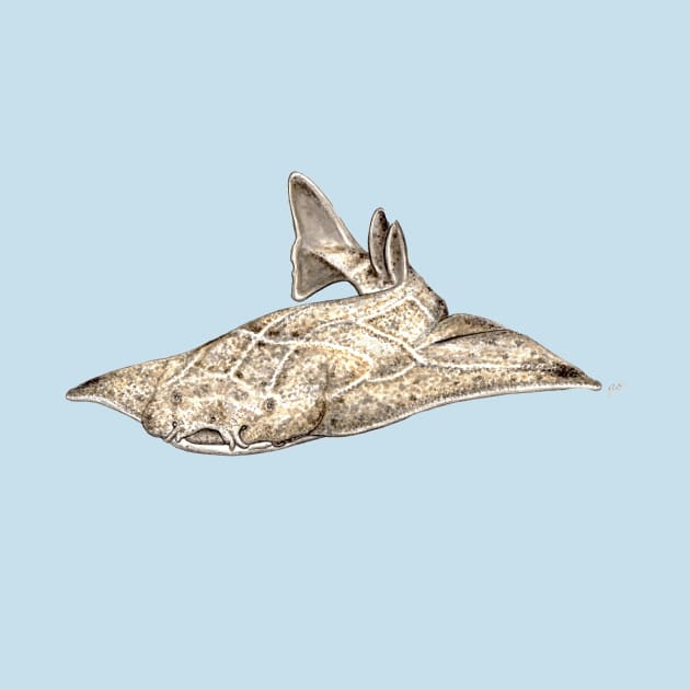 Angel shark by chloeyzoard