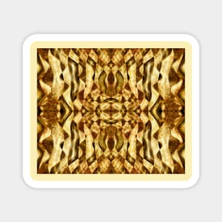 Symmetrical pattern Magnet