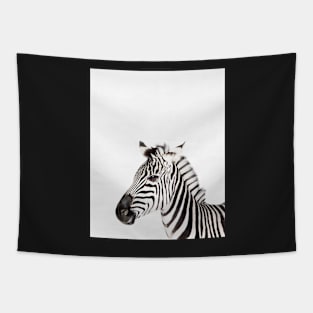Zebra print, Nursery, Animal, Kids room, Modern art, Wall decor Tapestry