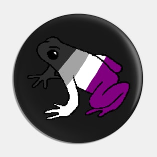 Pixel Asexual Frog Pin