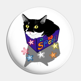 Cute Tuxedo cat sits and fits in a box  Copyright TeAnne Pin