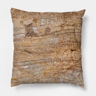 Crushed Erosion Earth Surface Pillow