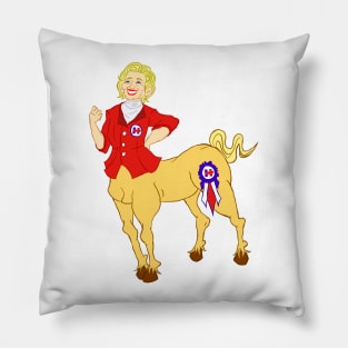 Hillary for A-MARE-ica Pillow