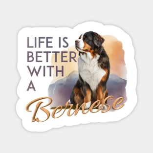 Bernese mountain dog Magnet