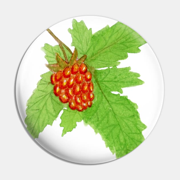 Watercolor Salmonberry Fruit Pin by paintedpansy