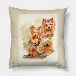 Yorkshire Terrier with Ghost Pillow