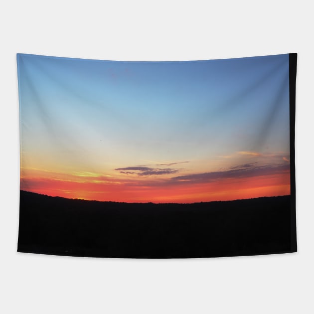 Beautiful photography of Atlanta sunset sky landscape USA nature lovers Tapestry by BoogieCreates