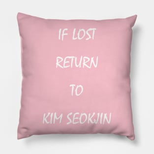 if lost return to jin Pillow