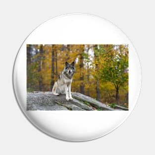 Timber Wolf Pin