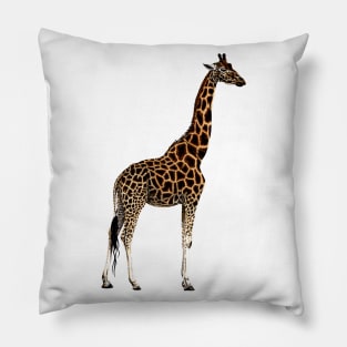 Giraffe drawing Pillow